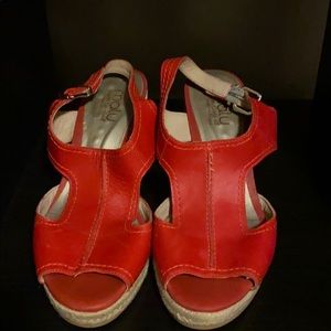 Red Wedges
